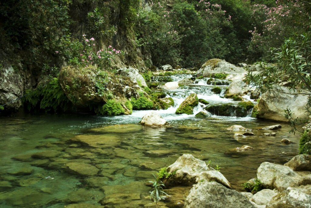 "Photo of a natural pool in Akchour, surrounded by lush greenery and flowing water."