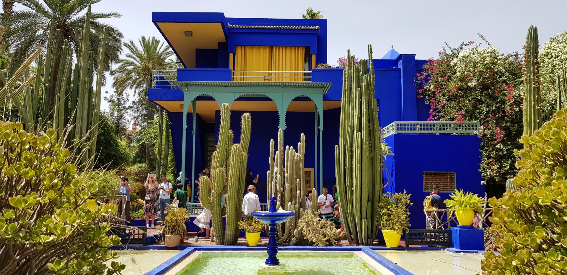 Majorelle Garden: A stunning botanical garden designed by French artist Jacques Majorelle in the 1920s, now owned by Yves Saint Laurent and featuring a museum of Islamic art.