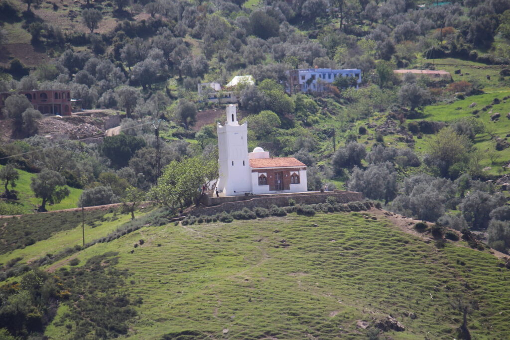 A serene white mosque with a towering minaret overlooking the picturesque blue-washed buildings of Chefchaouen, Morocco. The mosque sits atop a hill, surrounded by lush greenery, offering panoramic views of the city and the Rif Mountains in the distance.