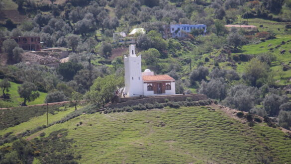 A serene white mosque with a towering minaret overlooking the picturesque blue-washed buildings of Chefchaouen, Morocco. The mosque sits atop a hill, surrounded by lush greenery, offering panoramic views of the city and the Rif Mountains in the distance.